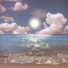 Avatar do usuário Anita